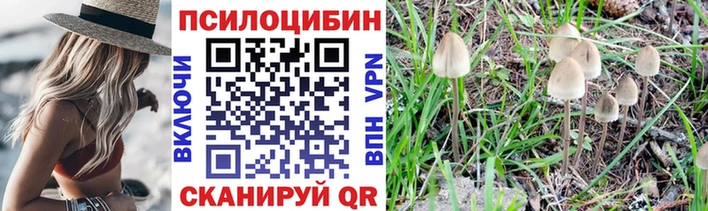 Псилоцибиновые грибы ЛСД что такое OMG как зайти Грязи